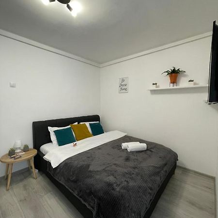 Cozy Studio Apartament Zalău Exteriör bild