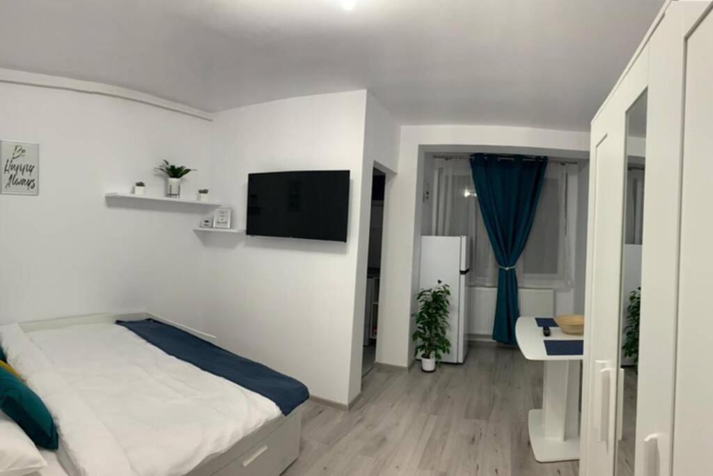 Cozy Studio Apartament Zalău Exteriör bild