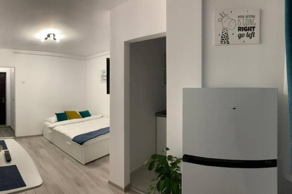 Cozy Studio Apartament Zalău Exteriör bild