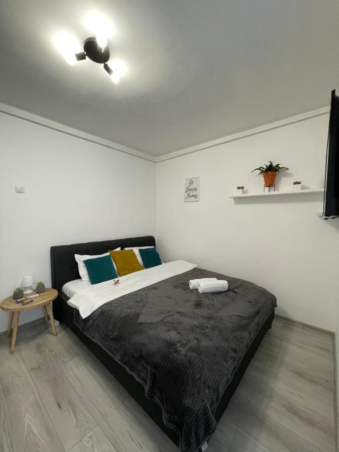 Cozy Studio Apartament Zalău Exteriör bild
